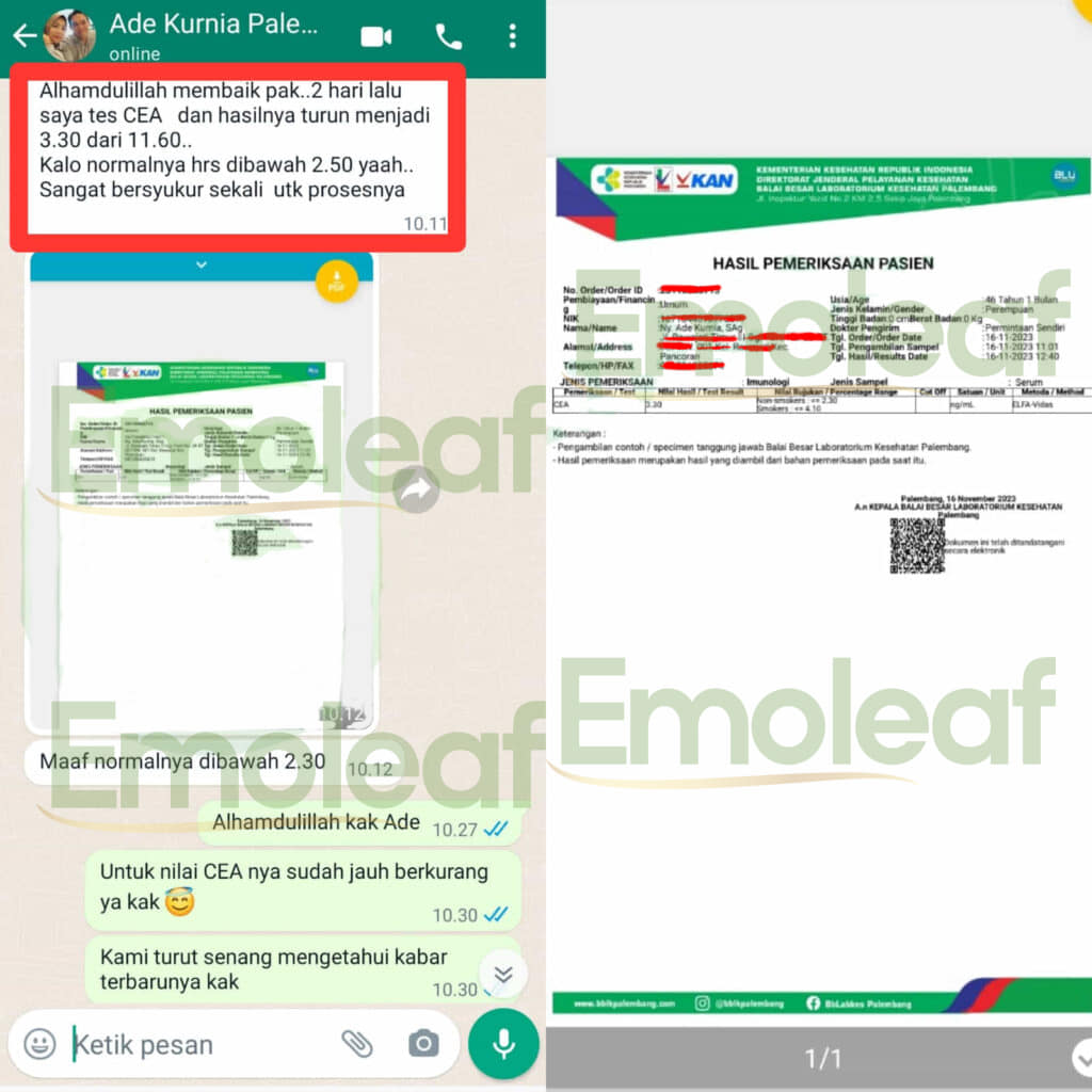 Testi WA Ade Kurnia