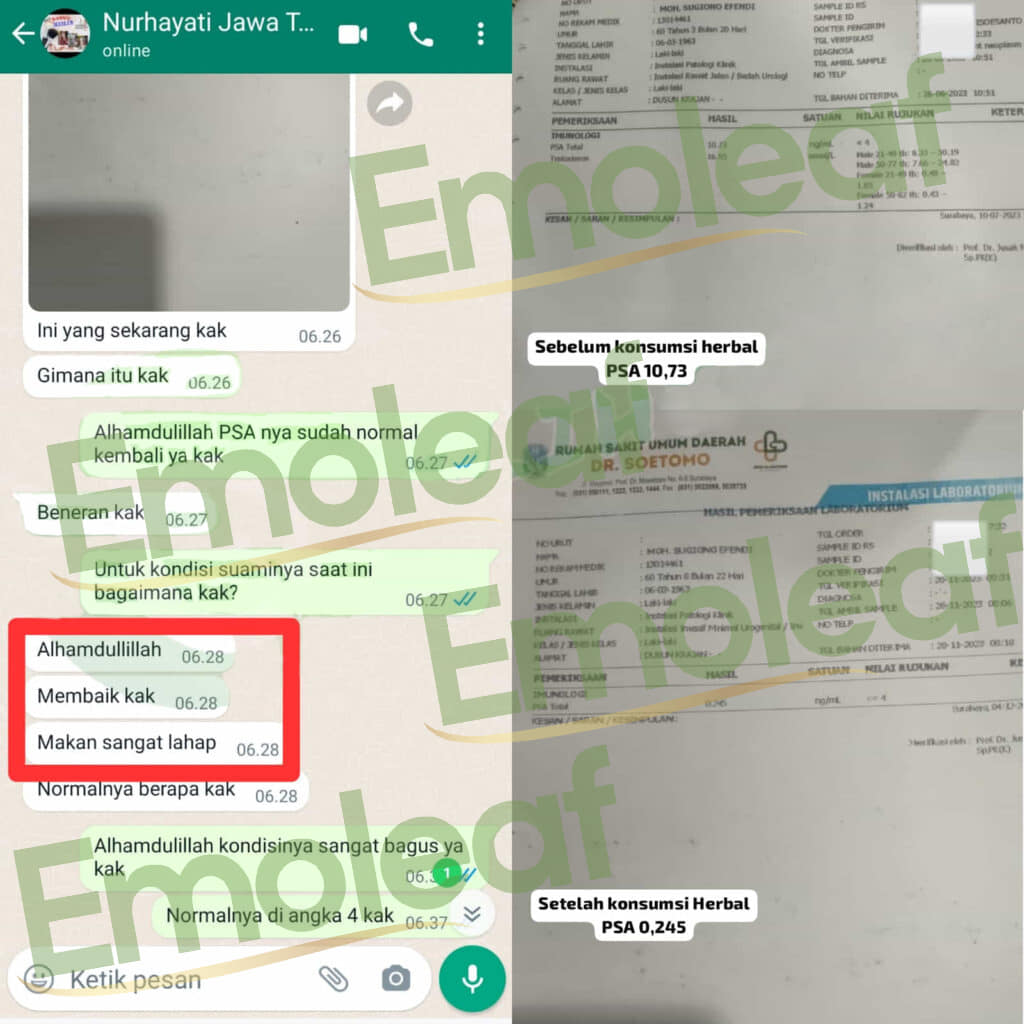 Testi WA Nurhayati